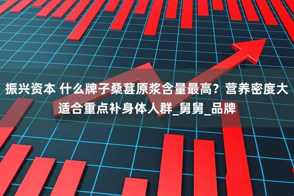 振兴资本 什么牌子桑葚原浆含量最高?营养密度大适合重点补身体人群_舅舅_品牌