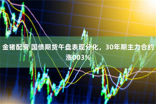 金猪配资 国债期货午盘表现分化，30年期主力合约涨003%