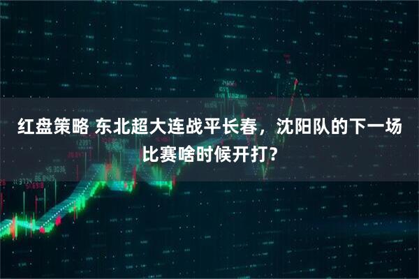 红盘策略 东北超大连战平长春，沈阳队的下一场比赛啥时候开打？