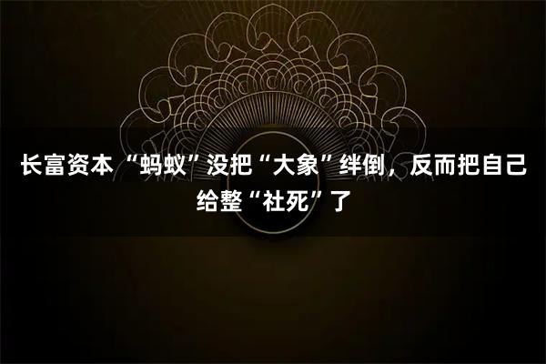 长富资本 “蚂蚁”没把“大象”绊倒，反而把自己给整“社死”了