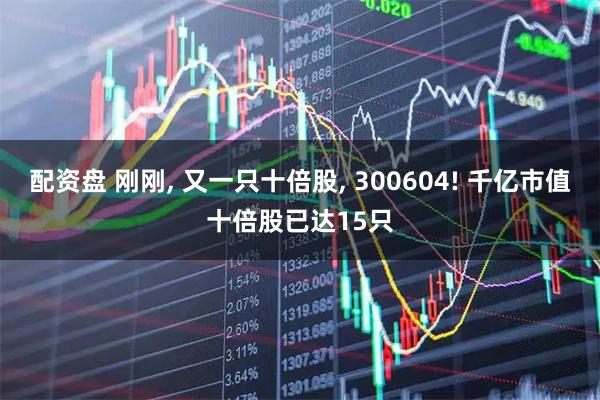 配资盘 刚刚, 又一只十倍股, 300604! 千亿市值十倍股已达15只