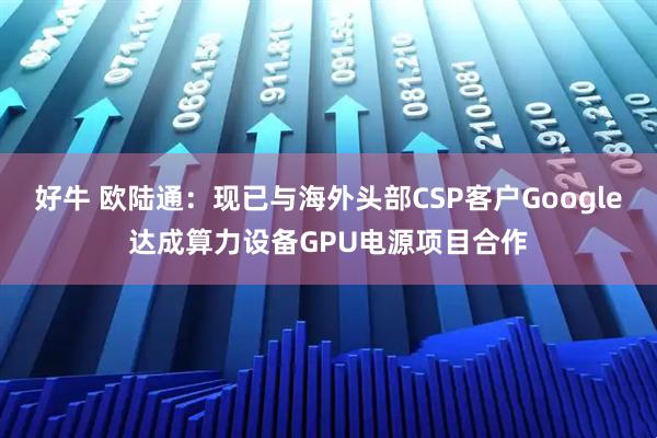 好牛 欧陆通：现已与海外头部CSP客户Google达成算力设备GPU电源项目合作